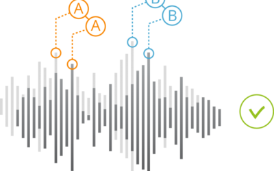 How our voice biometry solutions can help your business